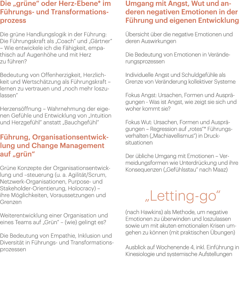 Die „gr ne“ oder Herz Ebene* im F hrungs und Transformationsprozess Die gr ne Handlungslogik in der F hrung: Die F hr...