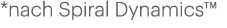 *nach Spiral Dynamics™