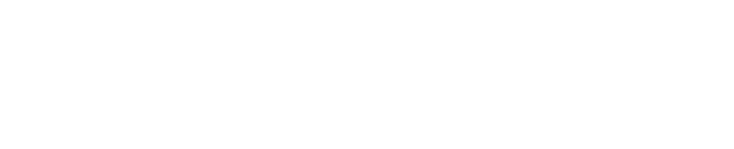„Leaders are made, not born, and how they develop is critical for organizational change.“ D. Rooke/W. Torbert, HBR 2005