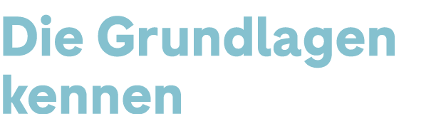 Die Grundlagen kennen 
