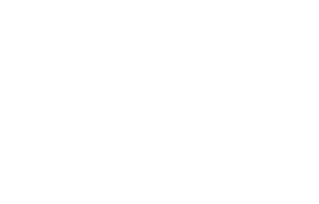 „Wir ben tigen eine radikale Vereinfachung des Ehrenamts!“