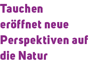 Tauchen er ffnet neue Perspektiven auf die Natur